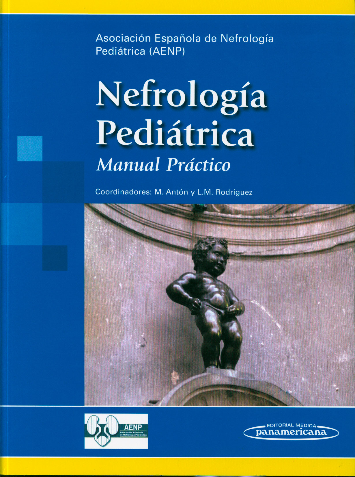 Nefrologia pediatrica: manual practico
      <i>es</i>