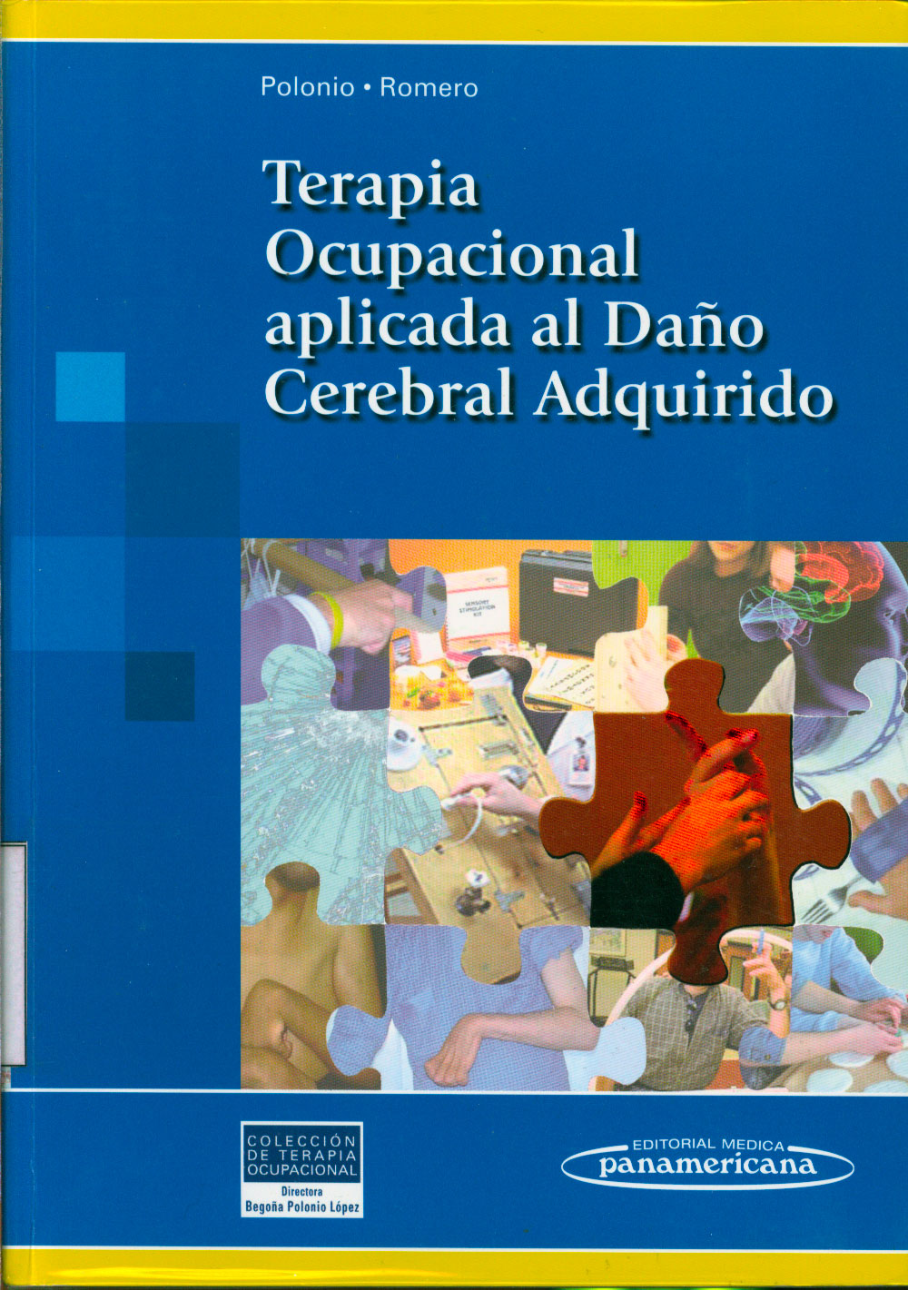 Terapia Ocupacional aplicada al daño cerebral adquirido
      <i>es</i>