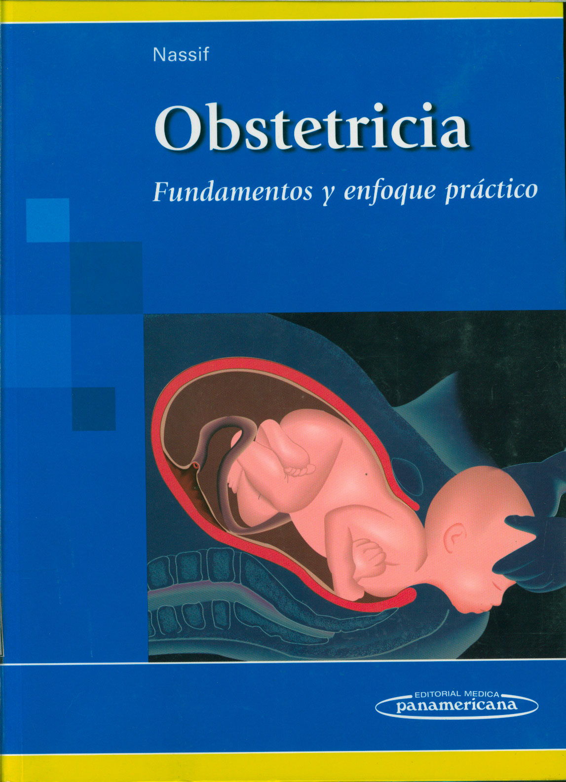 Obstetricia: fundamentos y enfoque practico
      <i>es</i>