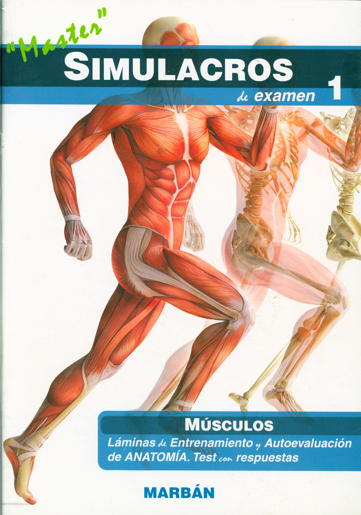 Master simulacros de examen 1 - musculos: laminas de entrenamiento y autoevaluación. Test con respuestas
      <i>es</i>