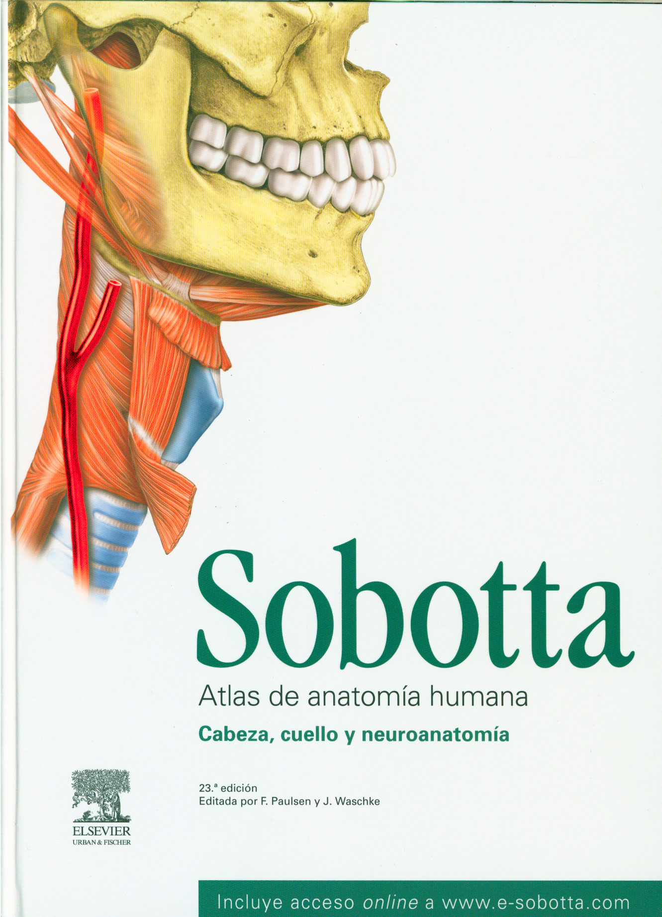 Sobotta atlas de anatomía humana: cabeza, cuello y neuroanatomia
      <i>es</i>