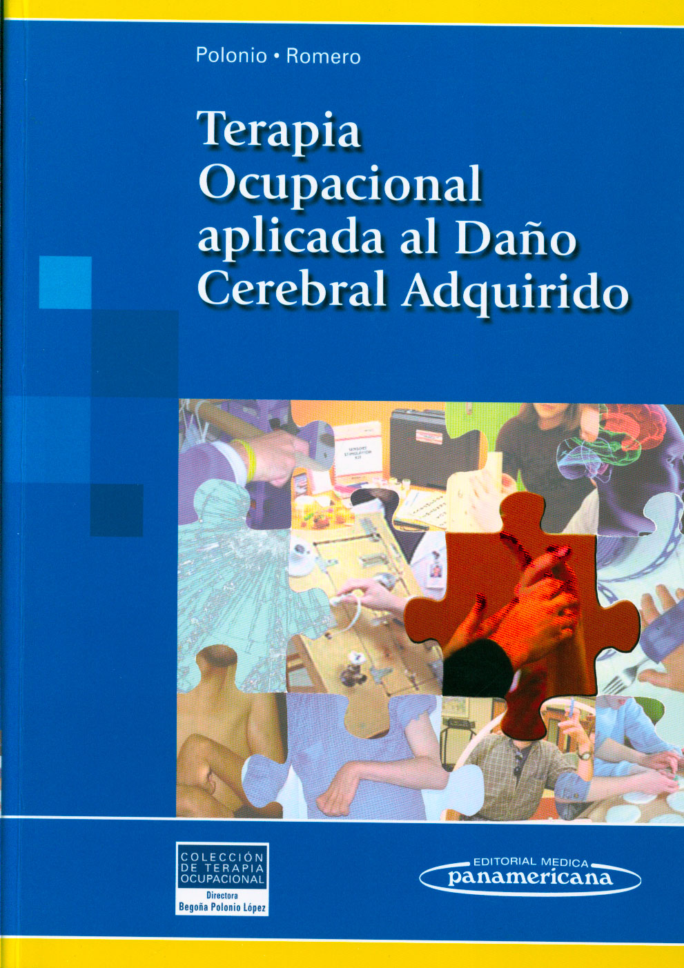 Terapia ocupacional aplicada al daño cerebral adquirido
      <i>es</i>