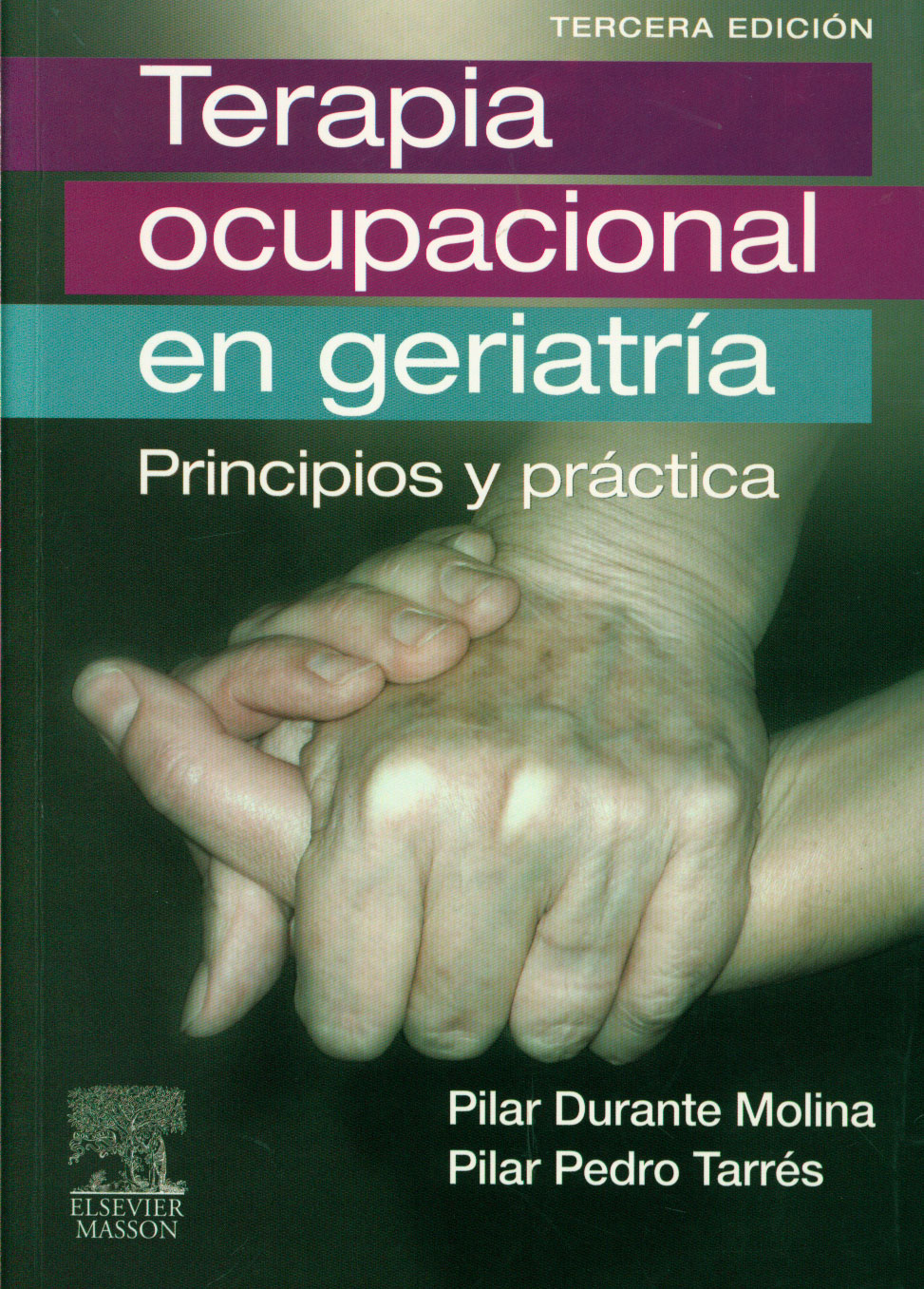 Terapia ocupacional en geriatría: principios y practica
      <i>es</i>