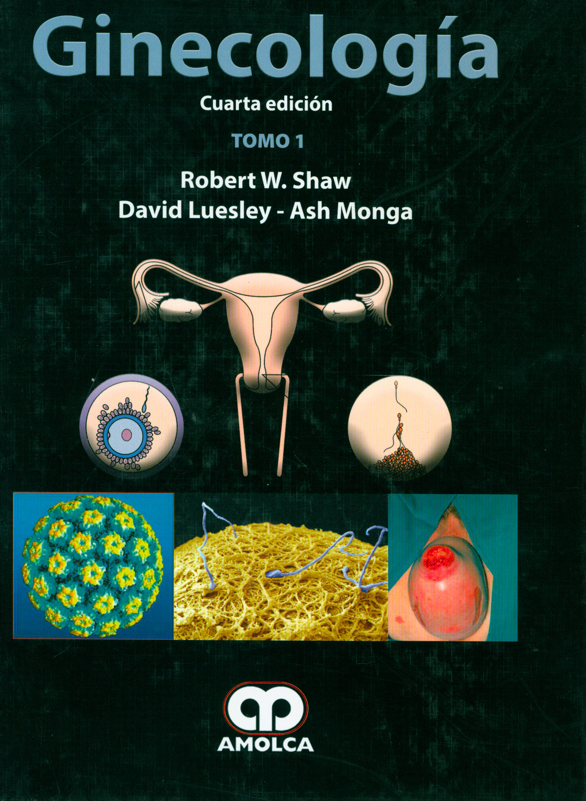 Ginecologia
      <i>es</i>