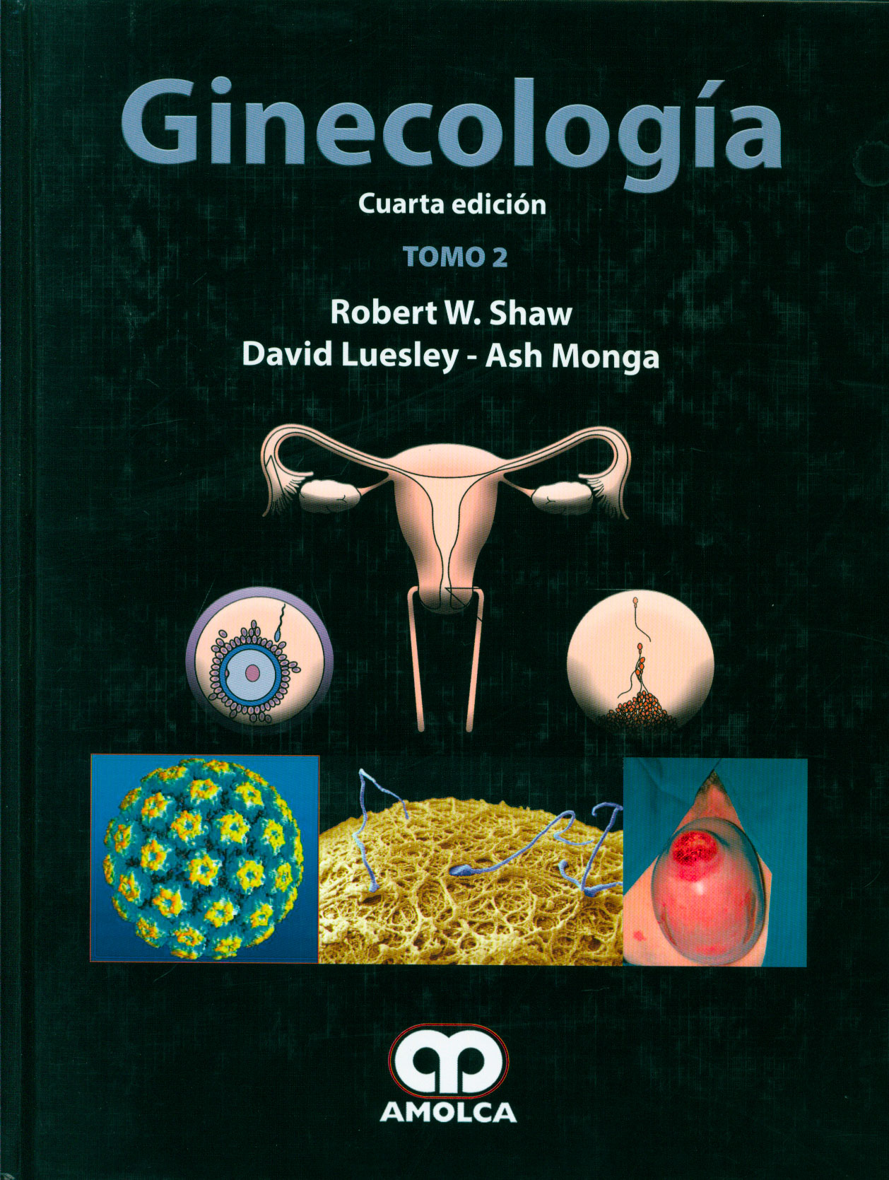 Ginecologia
      <i>es</i>
