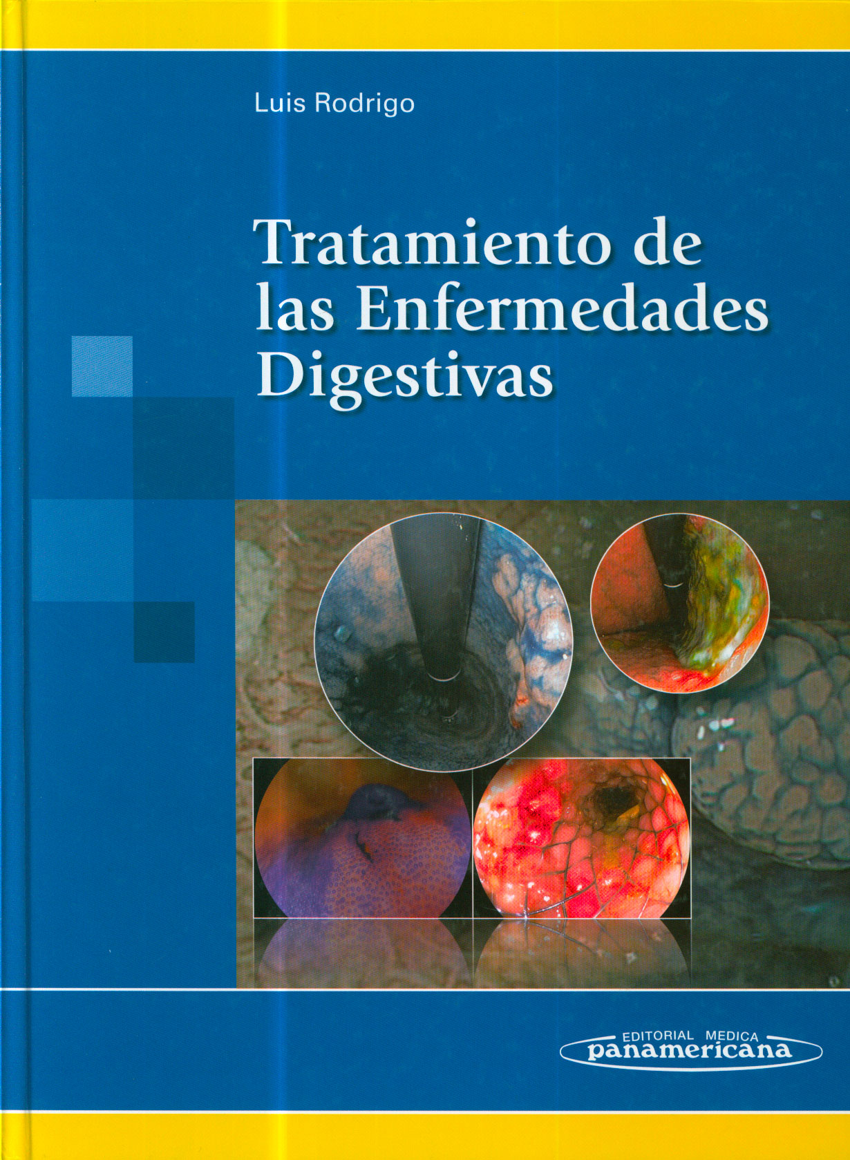 Tratamiento de las enfermedades digestivas
      <i>es</i>
