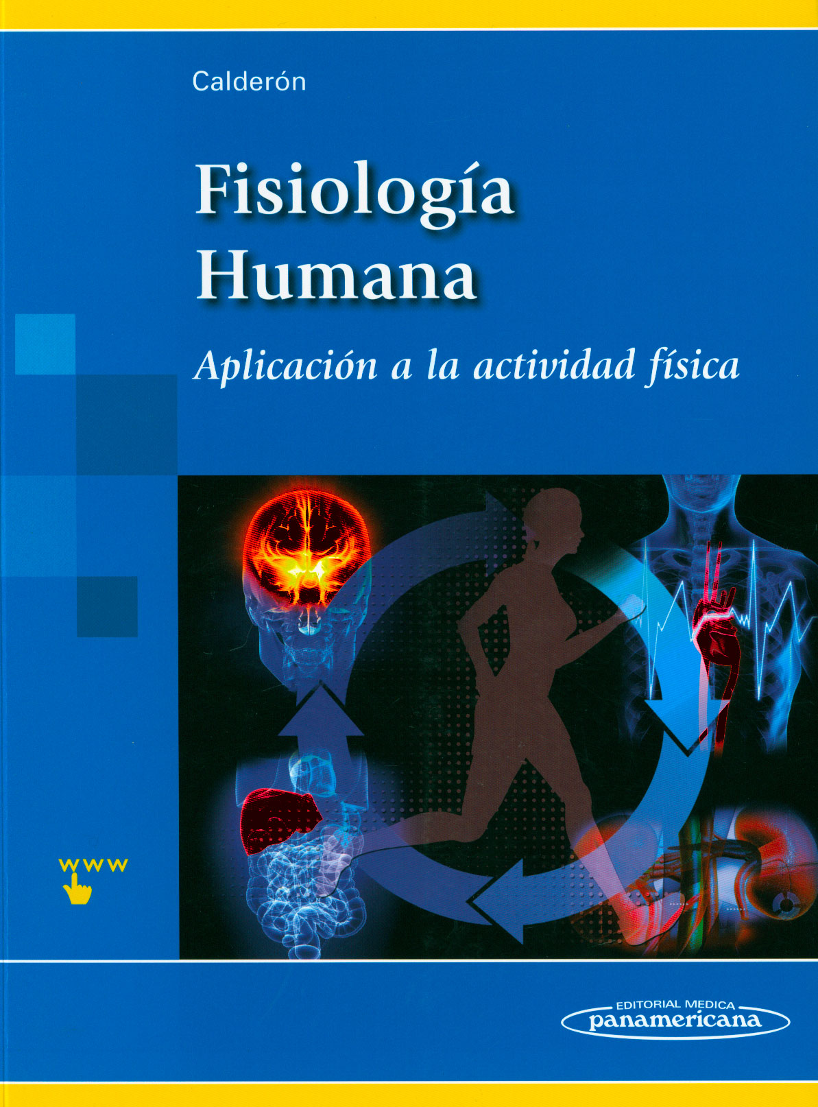 Fisiología humana: aplicación a la actividad física