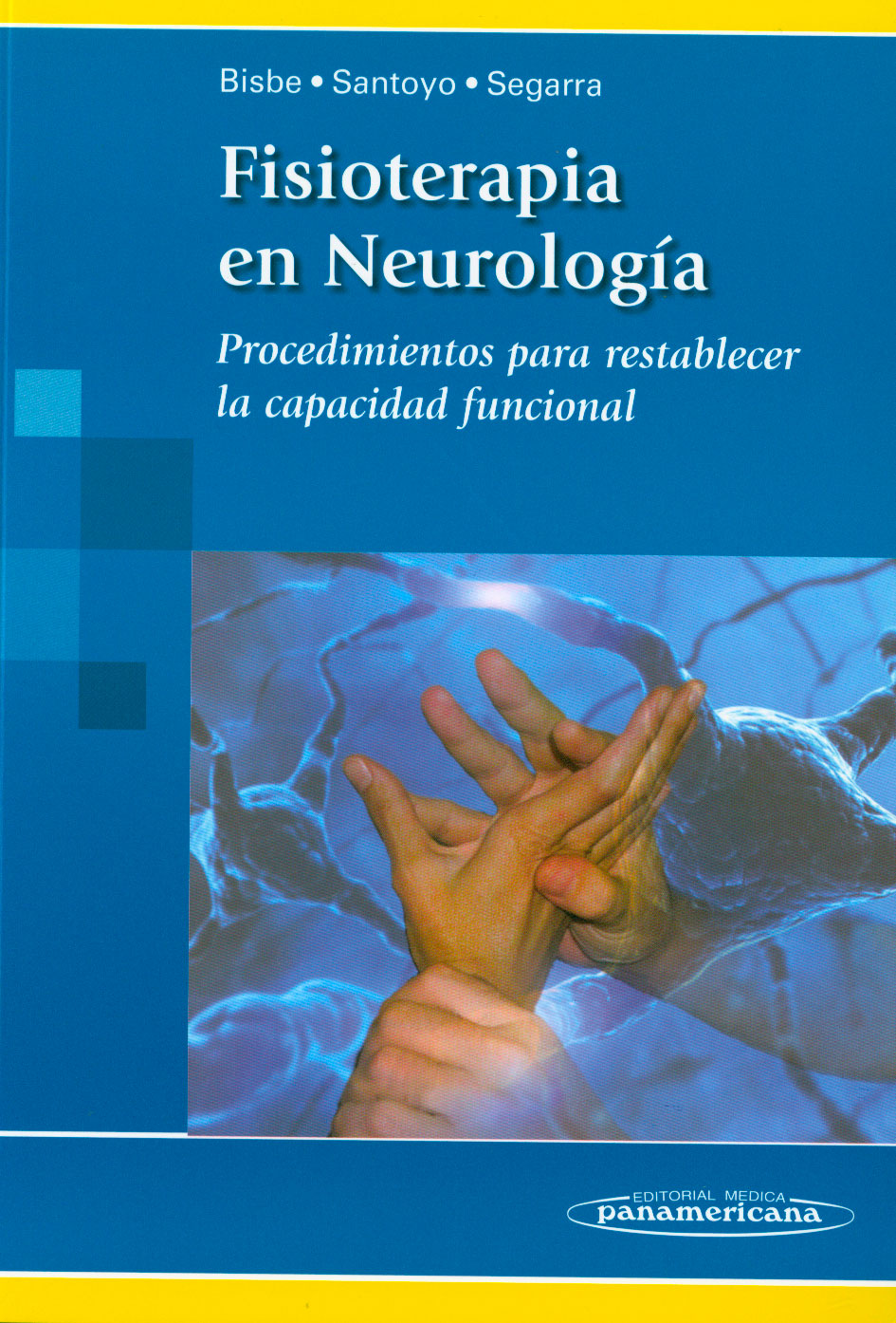 Fisioterapia en neurología: procedimientos para restablecer la capacidad funcional