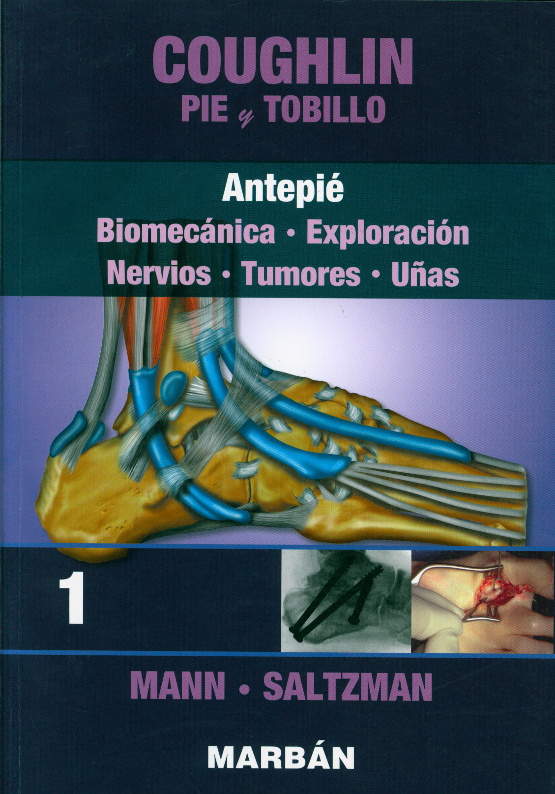 Pie y tobillo: antepie
      <i>es</i>