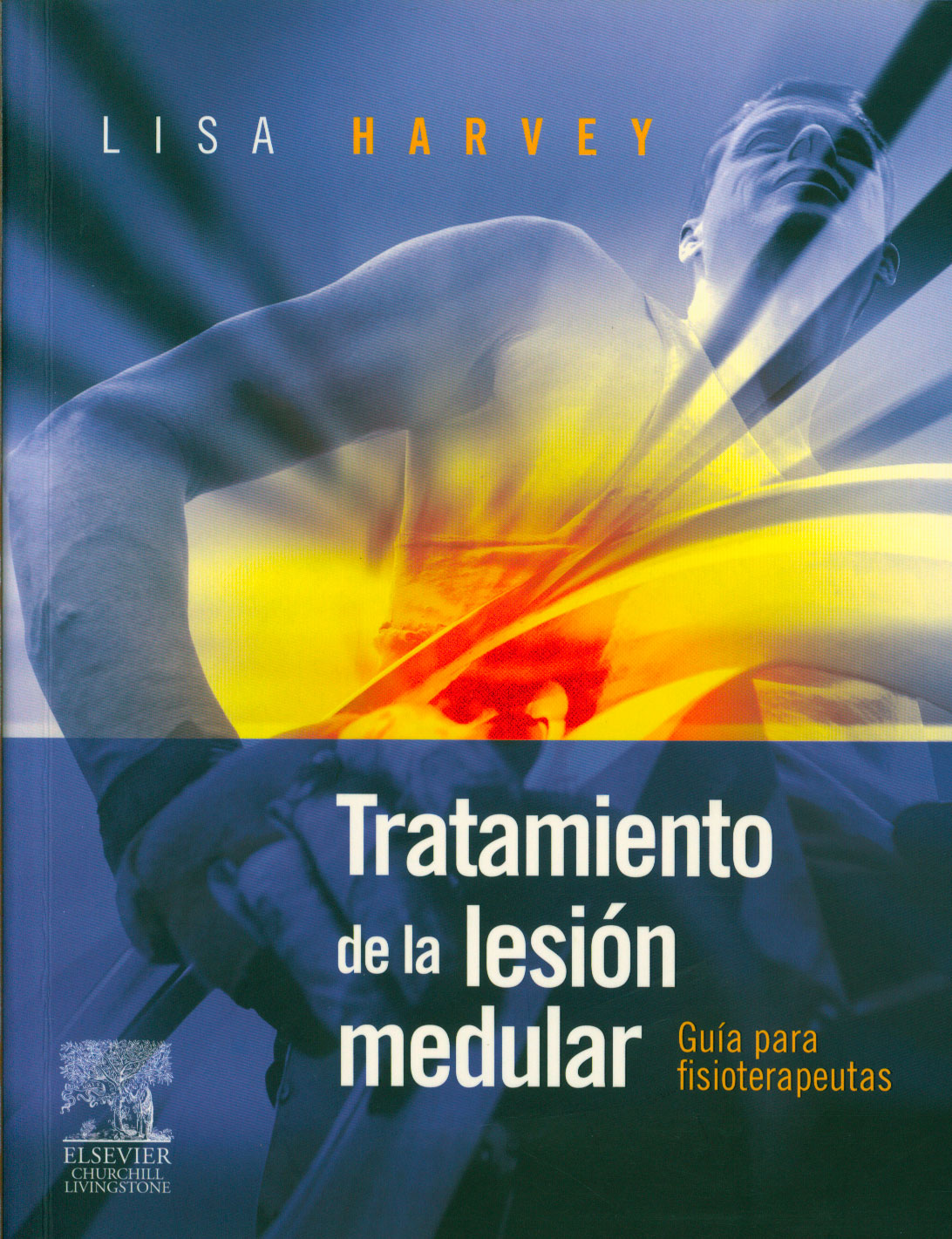 Tratamiento de la lesión medular: guia para fisioterapeutas
      <i>es</i>