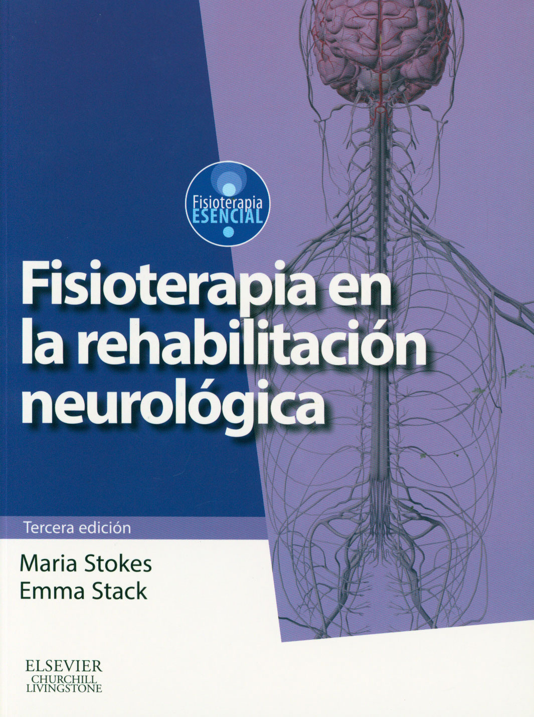 Fisioterapia en la rehabilitación neurológica