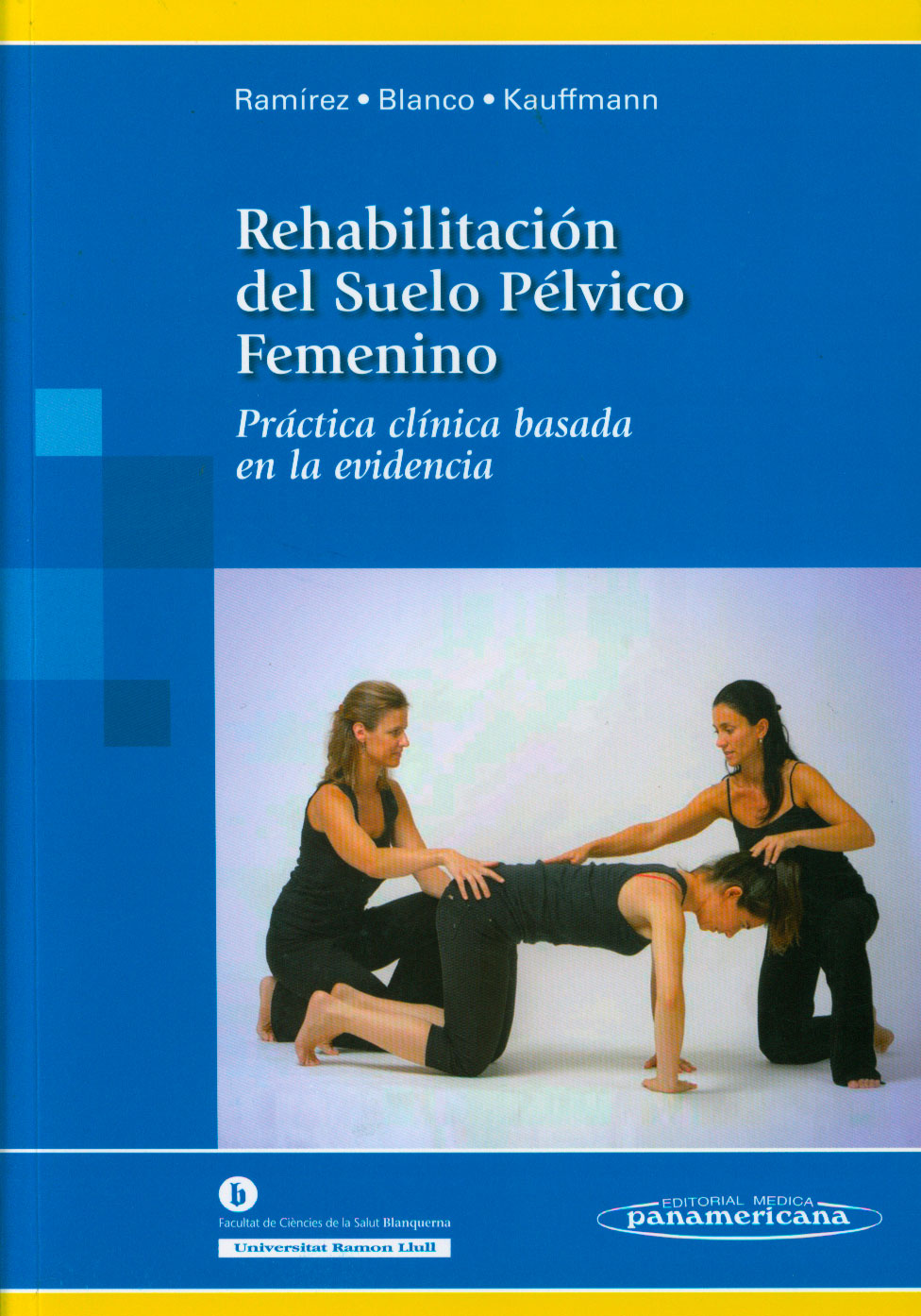 Rehabilitación del suelo pélvico femenino: práctica clínica basada en la evidencia
      <i>es</i>