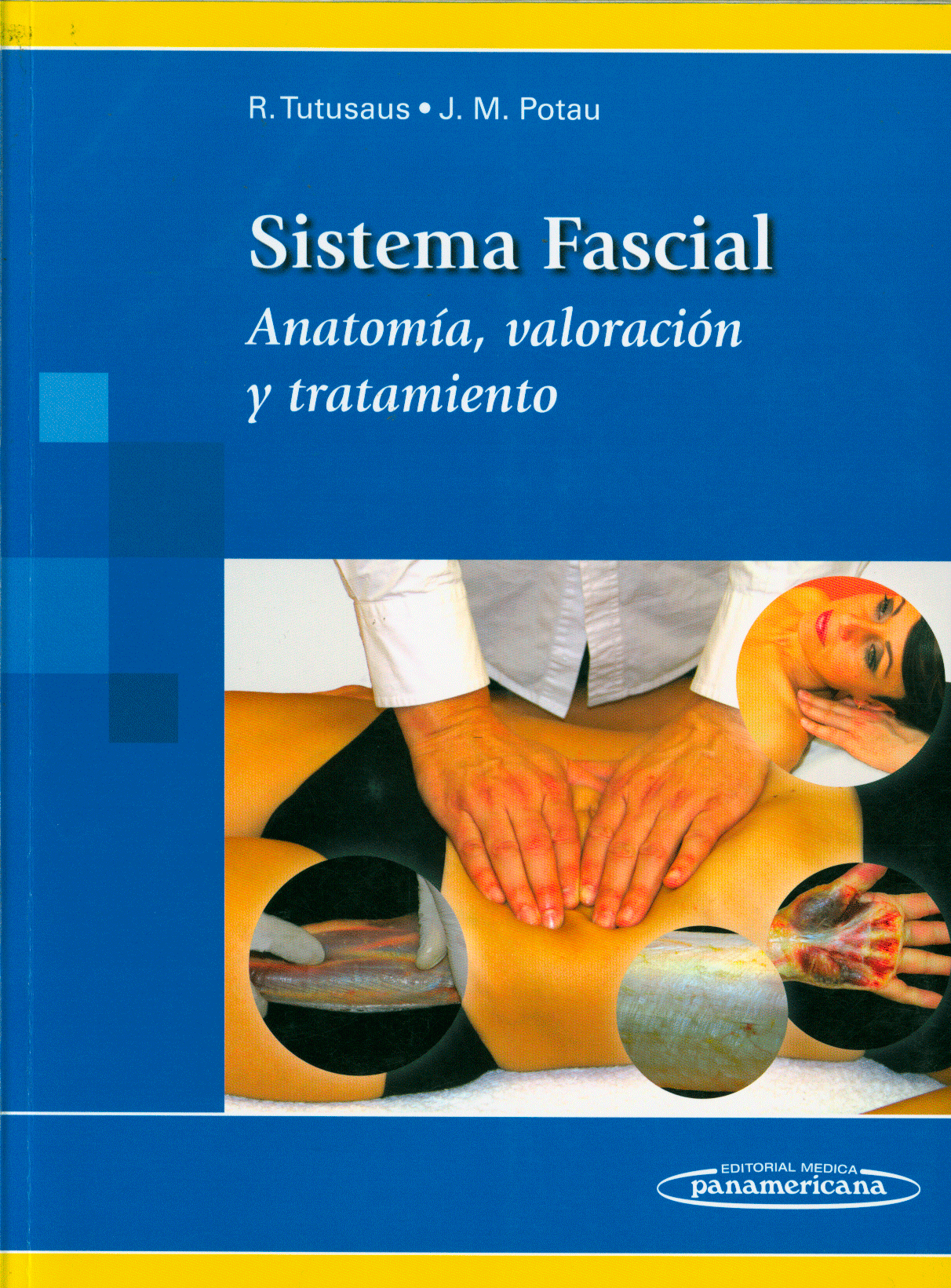 Sistema fascial: anatomia, valoración y tratamiento
      <i>es</i>
