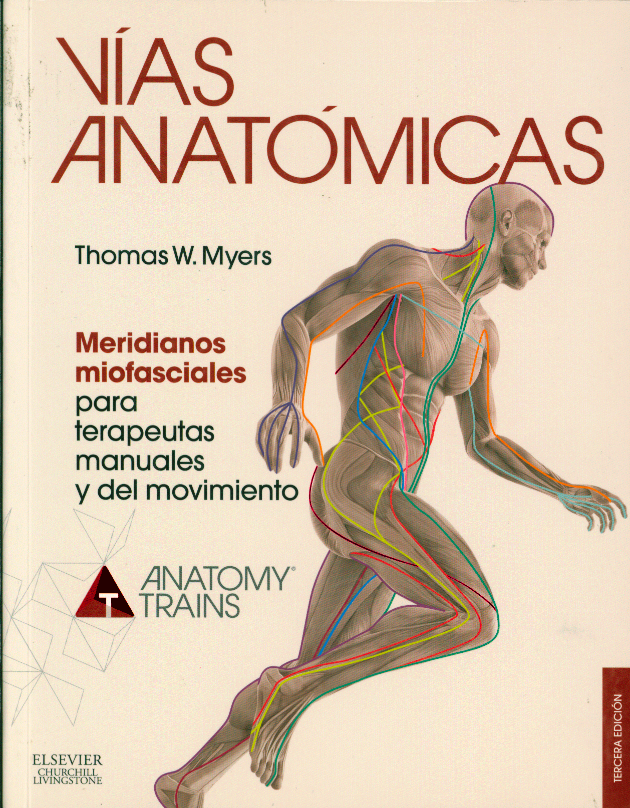 Vias anatómicas: meridianos miofasciales para terapeutas manuales y del movimiento
      <i>es</i>