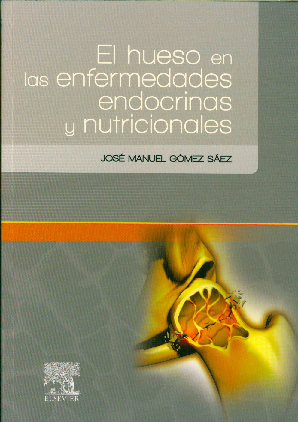 El hueso en las enfermedades endocrinas y nutricionales
      <i>es</i>
