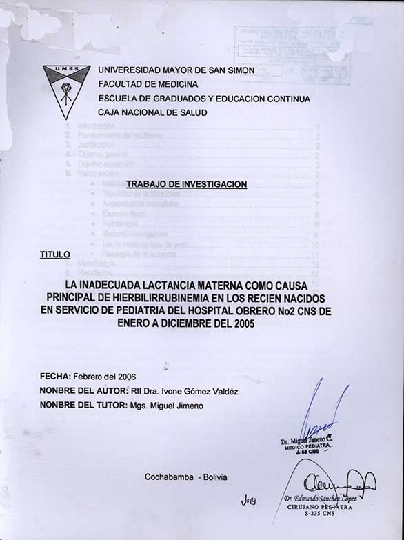 La Inadecuada Lactancia materna como causa principal de hierbilirrubinemia en los recien nacidos en servicio de pediatria del hospital Obrero Nº 2 CNS de Enero a Diciembre del 2005