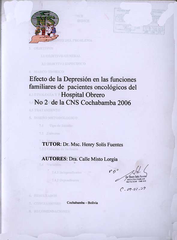Efecto de la Depresión en las Funciones familiares de pacientes oncologicos del Hospital Obrero Nº 2 de la CNS Cochabamba 2006