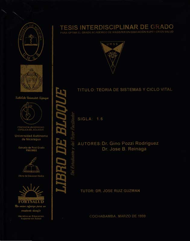 Teoria de sistemas y ciclo vital