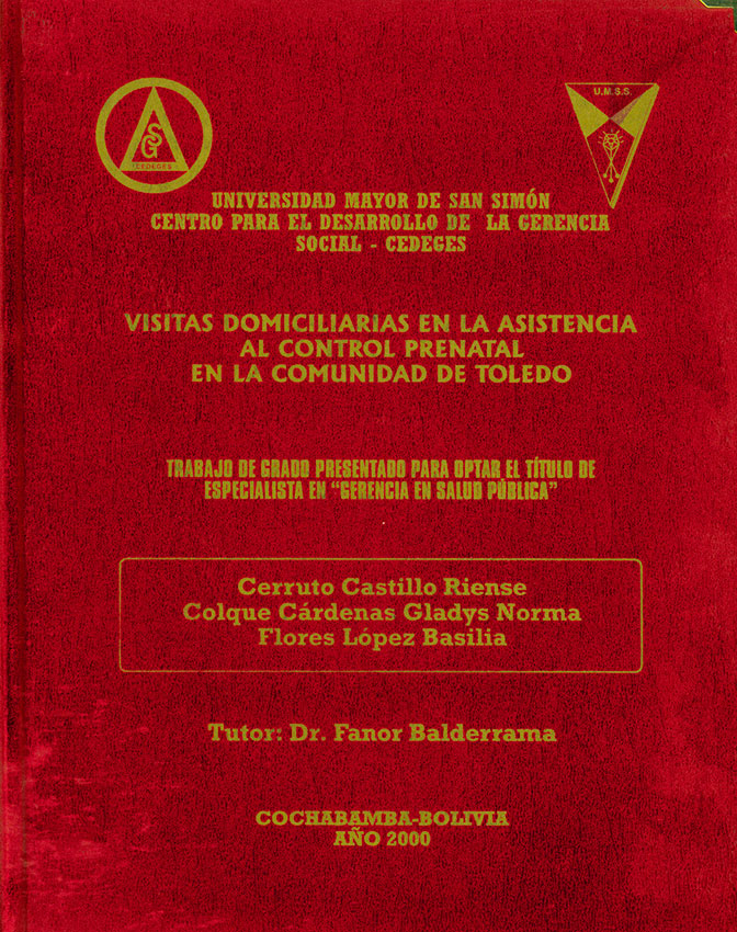 Visitas domiciliarias en la asistencia al control prenatal en la comunidad de Toledo