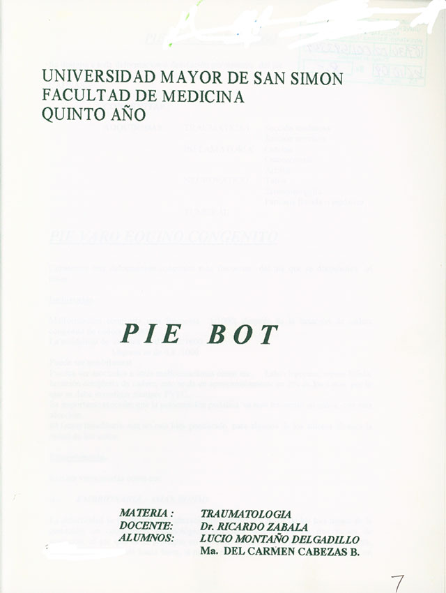 Pie Bot