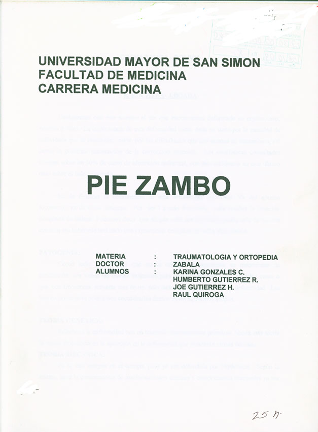 Pie Zambo