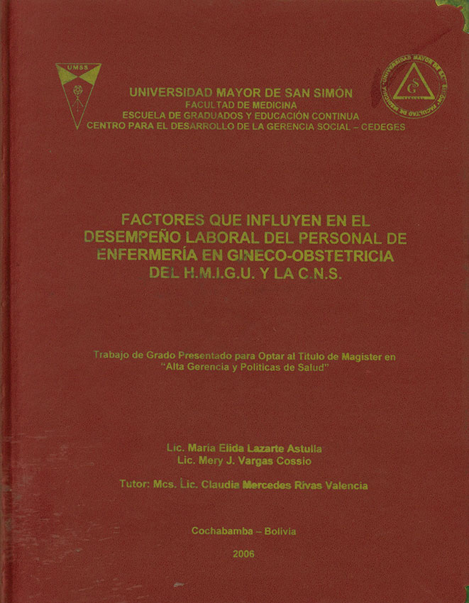 Factores que influyen en el desempeño laboral del personal de enfermeria en gineco-obstetricia del H. M. I. G. U. y la C. N. S
