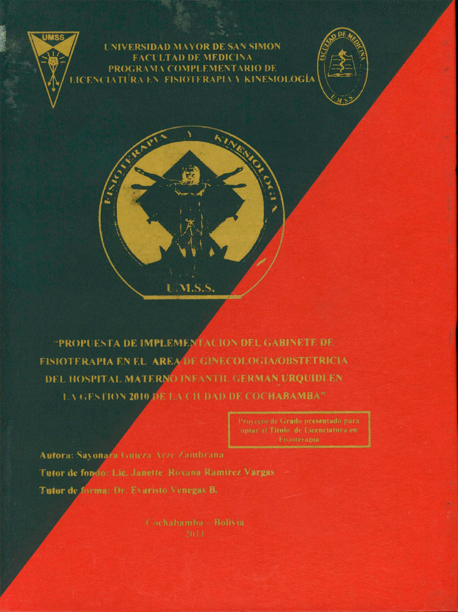 Propuesta de implementación del gabinete de fisioterapia en el aria de ginecologia /obstetricia del hospital materno infantil German Urquidi en la gestión 2010 de la ciudad de Cochabamba