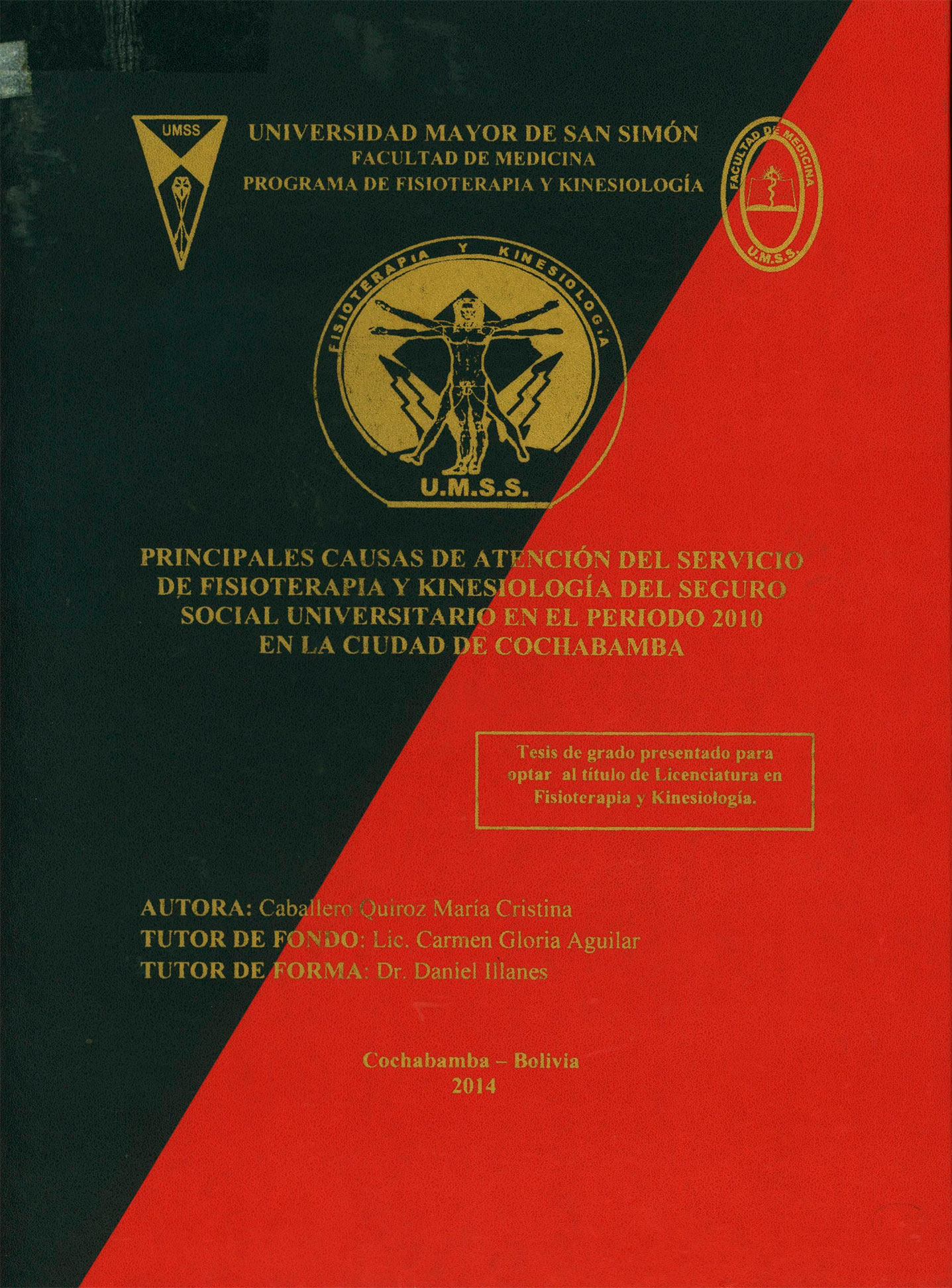 Principales causas de atención del servicio de fisioterapia y kinesiología del seguro social universitario en el periodo 2010 en la ciudad de Cochabamba