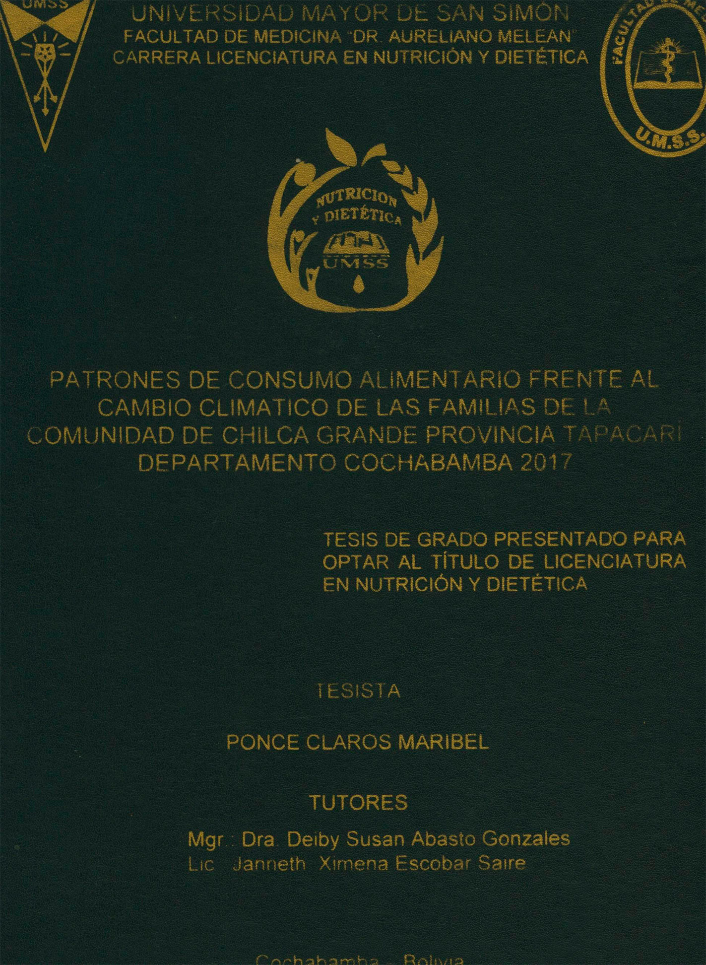 Patrones de consumo alimentario frente al cambio climatico de las familias de la comunidad de Chilca Grande Provincia Tapacarí departamento de Cochabamba 2017 
      <i>es</i>
