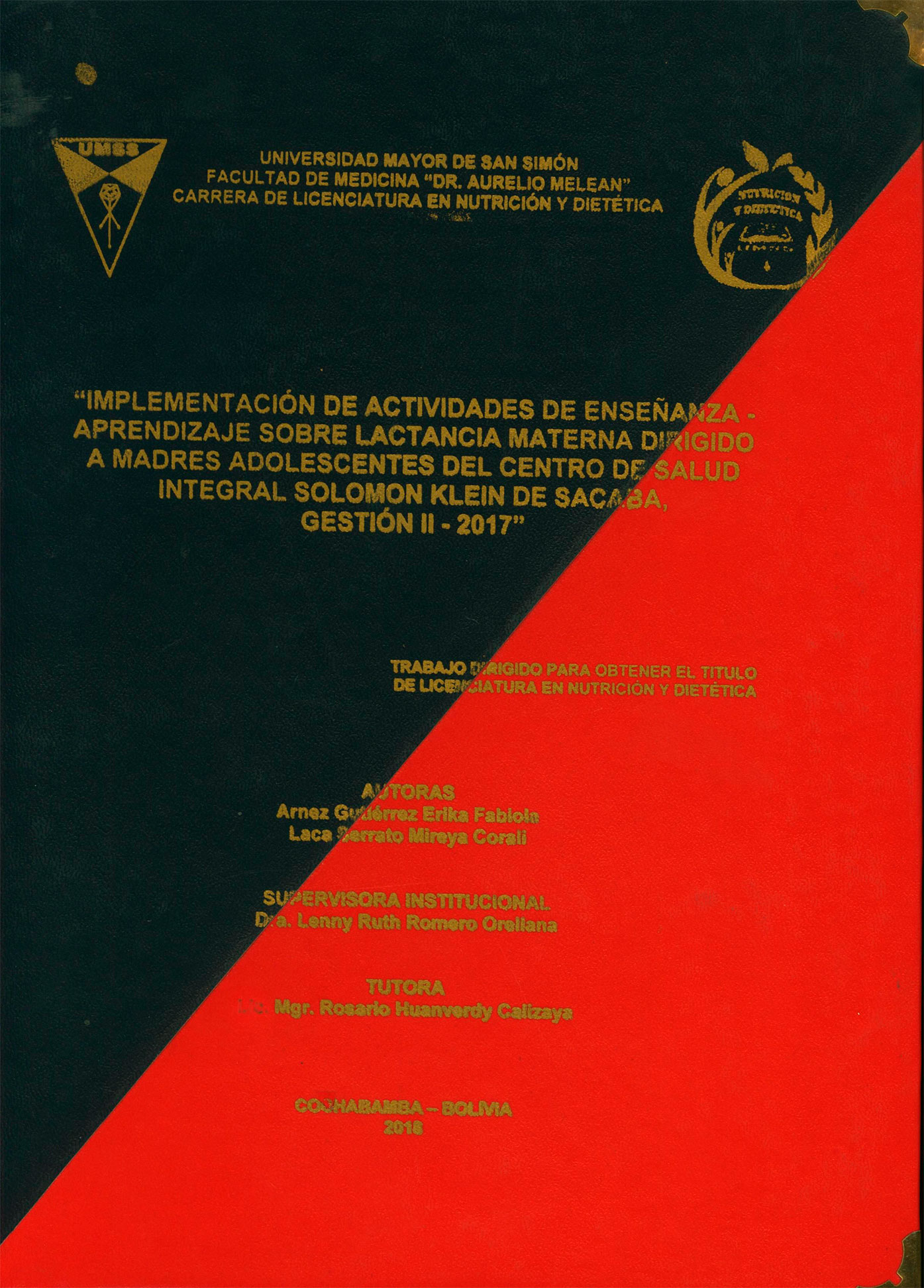 Implementación de actividades de enseñanza-aprendizaje sobre lactancia materna dirigido a madres adolescentes del centro de salud integral Solomon Klein de Sacaba, gestión II-2017
      <i>es</i>
