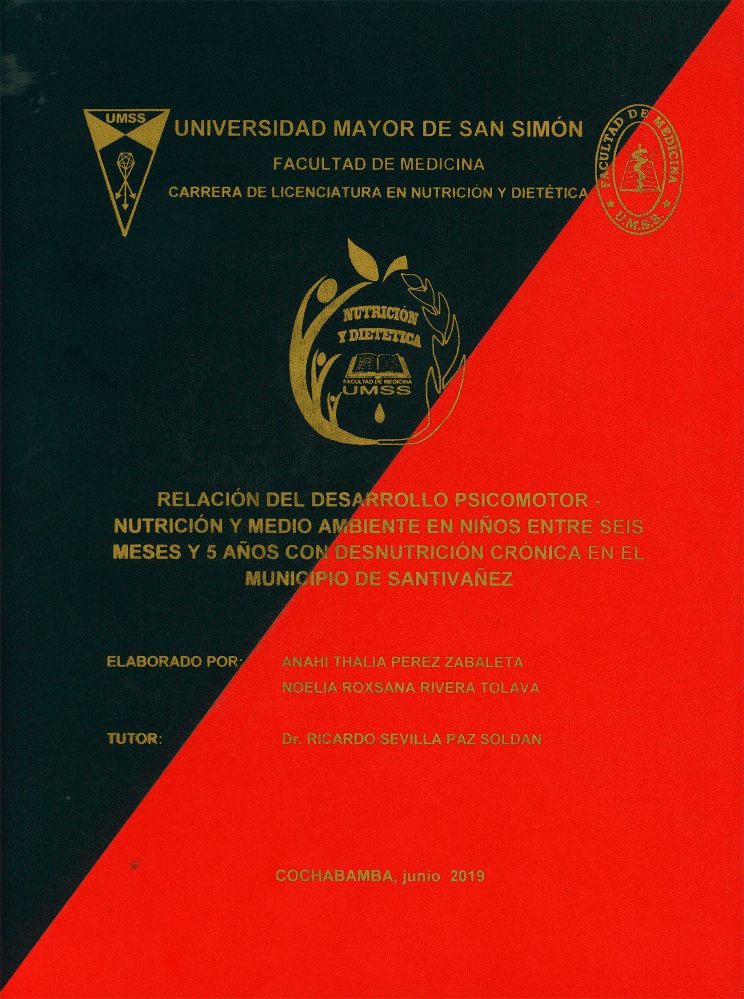 Relación del desarrollo psicomotor-nutrición y medio ambiente en niños entre seis meses y 5 años con desnutrición crónica en el Municipio de Santivañez
      <i>es</i>