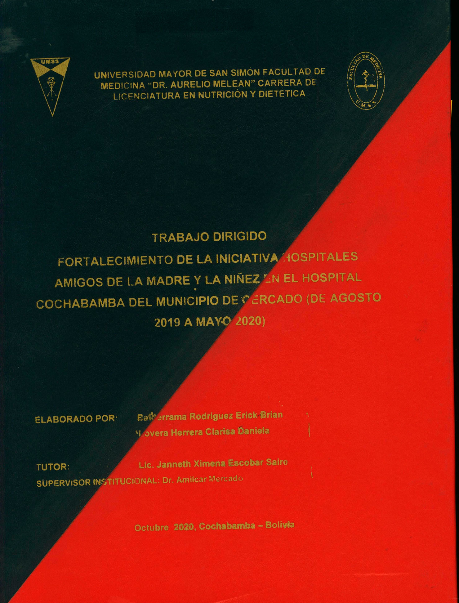 Fortalecimiento de la iniciativa hospitales amigos de la madre y la niñez en el hospital Cochabamba del municipio de Cercado, de agosto 2019 a mayo 2020
      <i>es</i>